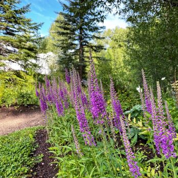 John Denver Sanctuary - John Denver Sanctuary (7/31/21) - Hiking Near Me - Aspen, Colorado John Denver Sanctuary - John Denver Sanctuary (7/31/21) - Hiking Near Me - Aspen, Colorado
