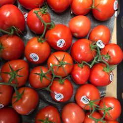 Gary Grossman - Stem tomatoes
