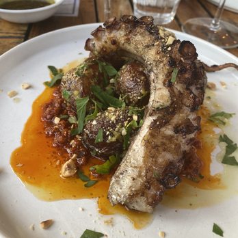 Saba - Octopus - Mediterranean Near Me - New Orleans, Louisiana Saba - Octopus - Mediterranean Near Me - New Orleans, Louisiana