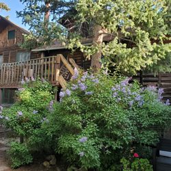 Allenspark Lodge B & B - Backyard picture with lilacs