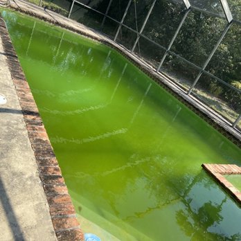 Pool Service USA - This is what my pool look like when they would come every week and "clean" it. - Hot Tub & Pool Near Me - Coral Springs, Florida