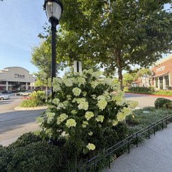 Avenue East Cobb