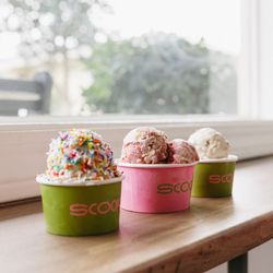 Lafayette Scoop - Sunshine, sprinkles, and seasonal scoops -- best enjoyed with a window seat.