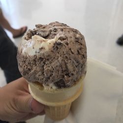 Common Grounds Cafe & Creamery - Wolftracks ice cream with peanut butter :)