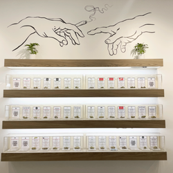 Tree of Life Dispensary Las Vegas - Flower Wall