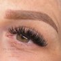TN Lash Brow