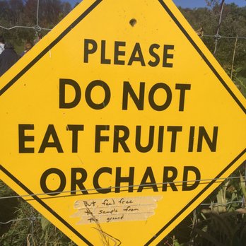 Hollin Farms - Gotta pay for those first - Fruits & Veggies Near Me - Delaplane, Virginia