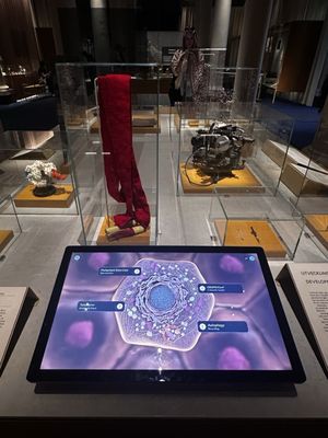 Nobel Prize Museum by null