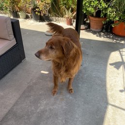 My 6yr old girl is back!