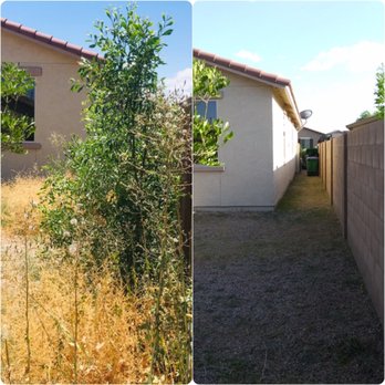 The Bearded Irishman Landscaping - Move Out Weed Removal (same day before/after) - Landscaping Near Me The Bearded Irishman Landscaping - Move Out Weed Removal (same day before/after) - Landscaping Near Me