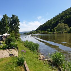 Campingplatz Mainufer - Mainufer