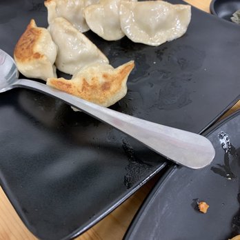 Chef June's Dumplings - Pork, Napa and mushroom pot sticker - Dim Sum Near Me - Westmont, Illinois