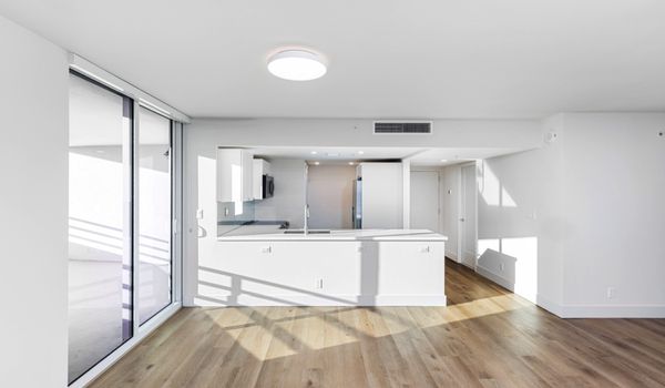 The Hamilton by null