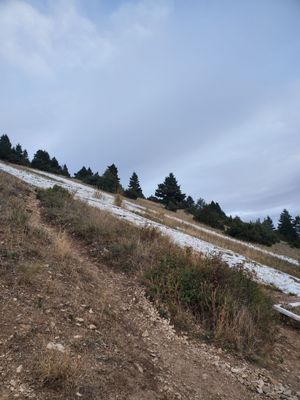College M Trailhead and Picnic Area by null