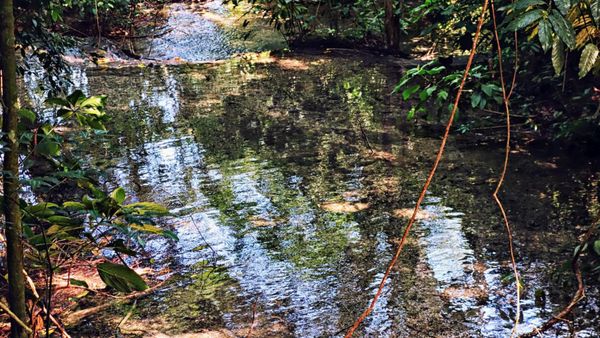 Palenque Temple of Inscriptions by null