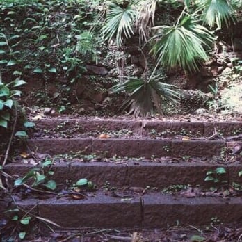 Moanalua Valley Trail - Stairs going up into the "mansion" - Hiking Near Me - Moanalua, Hawaii Moanalua Valley Trail - Stairs going up into the "mansion" - Hiking Near Me - Moanalua, Hawaii
