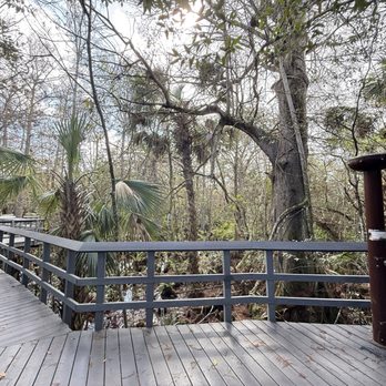 Fern Forest Nature Center - Parks Near Me - Coconut Creek, Florida