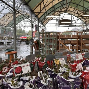 Mid City Nursery - Nurseries & Gardening Near Me - American Canyon, California