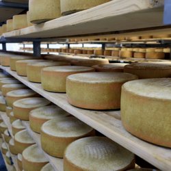 Gunn’s Hill Artisan Cheese