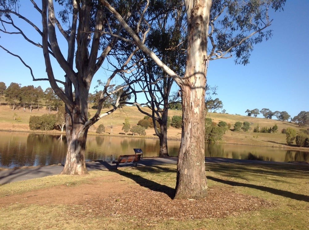 THE AUSTRALIAN BOTANIC GARDEN, MOUNT ANNAN Updated September 2024 Narellan Road, Mt Annan