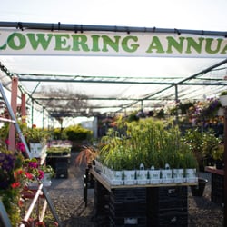Green Glen Nursery
