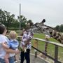 Photo of The Toledo Zoo