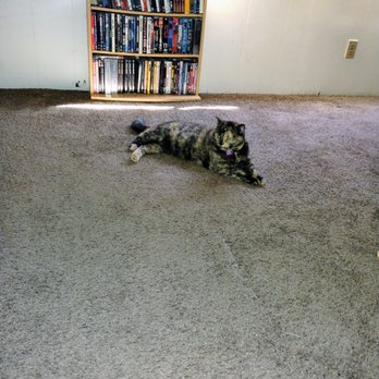 Grime stoppers - Carpet Cleaning Near Me Grime stoppers - Carpet Cleaning Near Me