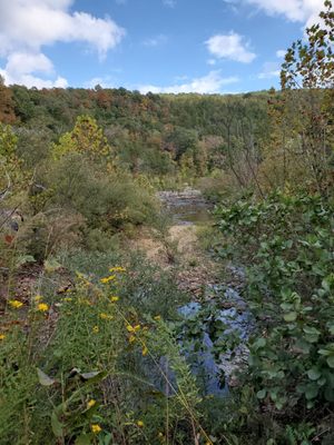 Johnson's Shut-Ins State Park by null