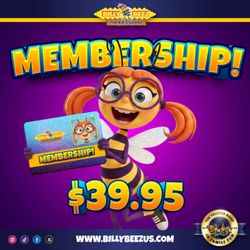 Billy Beez - Billy Beez holyoke membership now available