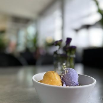 Terrace by Mix Mix - Coconut Panna Cotta - New American Near Me - Costa Mesa, California Terrace by Mix Mix - Coconut Panna Cotta - New American Near Me - Costa Mesa, California