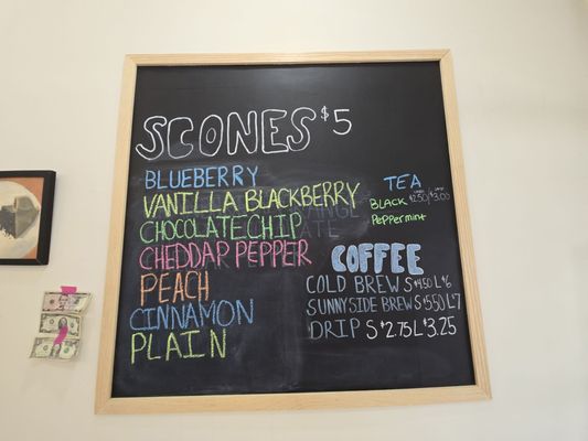 The Sconery by null