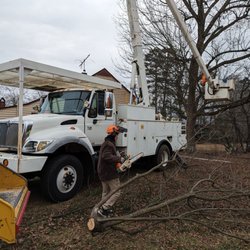 Woody's Tree Service