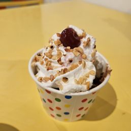 Double Scoop Ice Cream