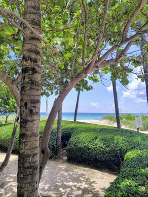 Bal Harbour Beach by null