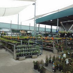 Bunnings Warehouse - Garden section