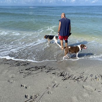 Brohard Paw Park & Beach - First time at a dog beach and the dogs loved it. It was not crowded, and very clean. What a great experience for our dogs. - Dog Parks Near Me - Venice, Florida