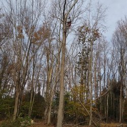 AAron's Land Landscaping and Masonry
