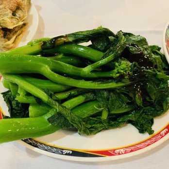 Ocean Harbor - Chinese Broccoli - Dim Sum Near Me - Philadelphia, Pennsylvania Ocean Harbor - Chinese Broccoli - Dim Sum Near Me - Philadelphia, Pennsylvania