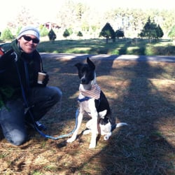 Back Achers Christmas Tree Farm - You can bring your dog!