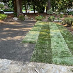Jose's Landscape & Maintenance