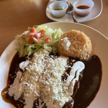 La Mestiza - Chicken enchiladas with mole sauce - Mexican Near Me - Madison, Wisconsin