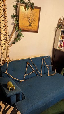 The Cave House by null