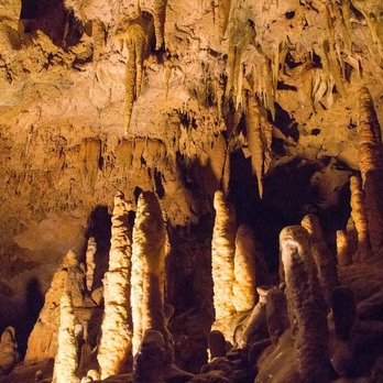 Florida Caverns State Park - Parks Near Me - Marianna, Florida Florida Caverns State Park - Parks Near Me - Marianna, Florida