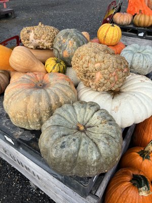 Frank's Produce & Greenhouse by null