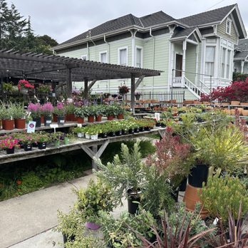 Encinal Nursery - Nurseries & Gardening Near Me - Alameda, California