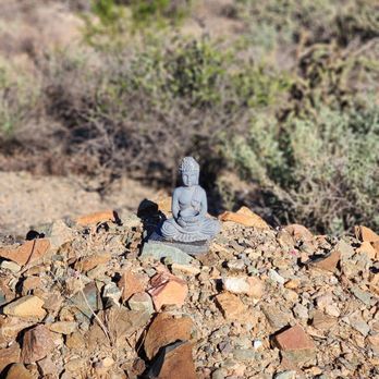 SHANGRI-LA RANCH - Updated February 2026 - 22 Photos & 37 Reviews