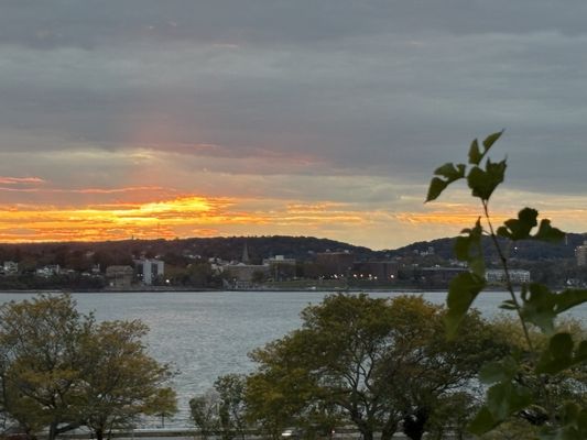 Shore Road Park by null