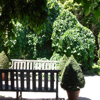 Filoli - Welcoming benches near the Camperdown Elms / Tennis Courts, beside the pool. - Botanical Gardens Near Me - Woodside, California