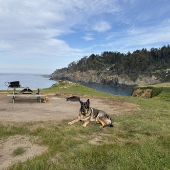 Ocean Cove Campground - Parks Near Me - Walsh Landing, California Ocean Cove Campground - Parks Near Me - Walsh Landing, California
