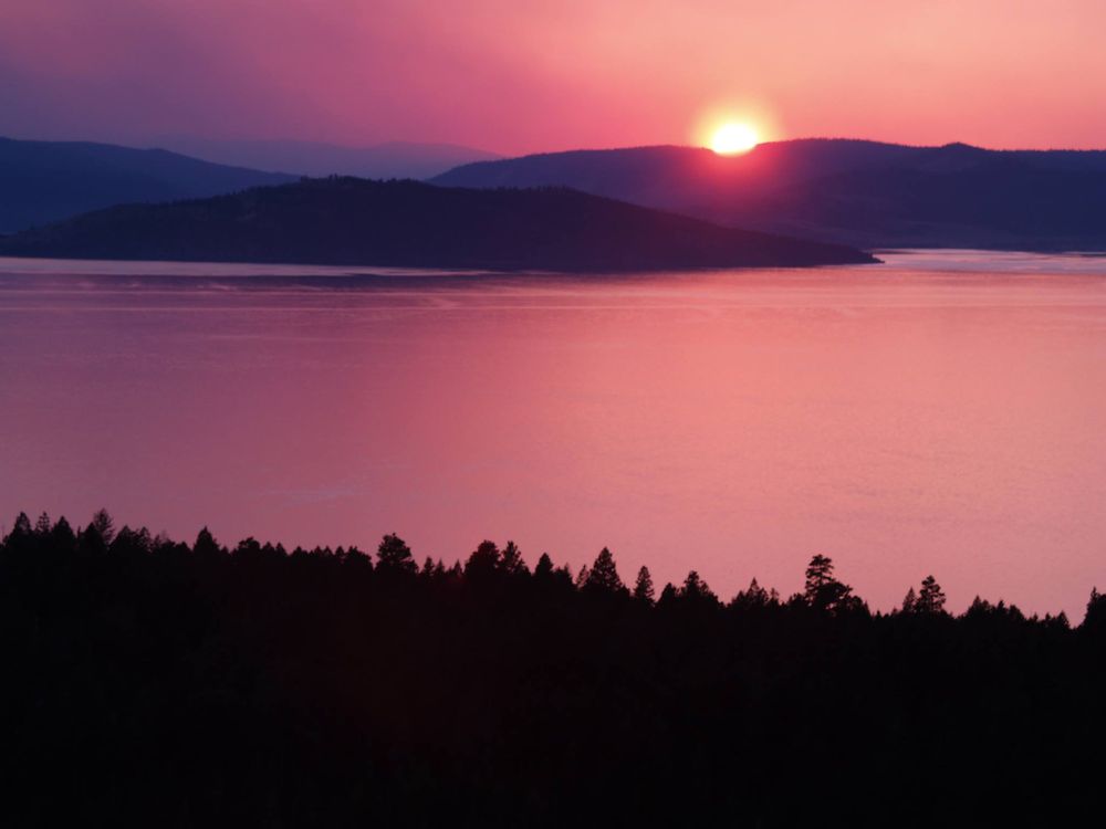 Law & Mediation Offices Of Margaret S Tillinghast - divorce attorney in South San Francisco, CA